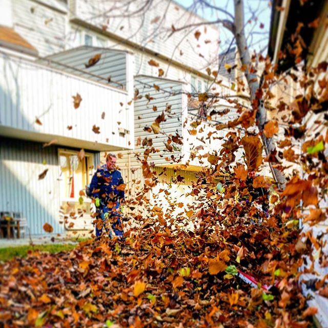 Good Nature Groundskeeping