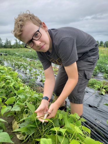 Cadence Ecological Farm