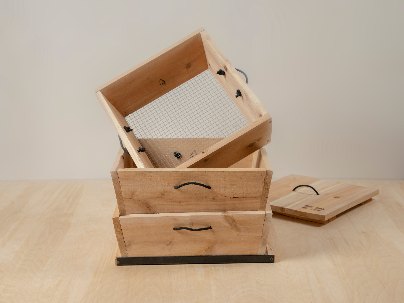 The Box of Life