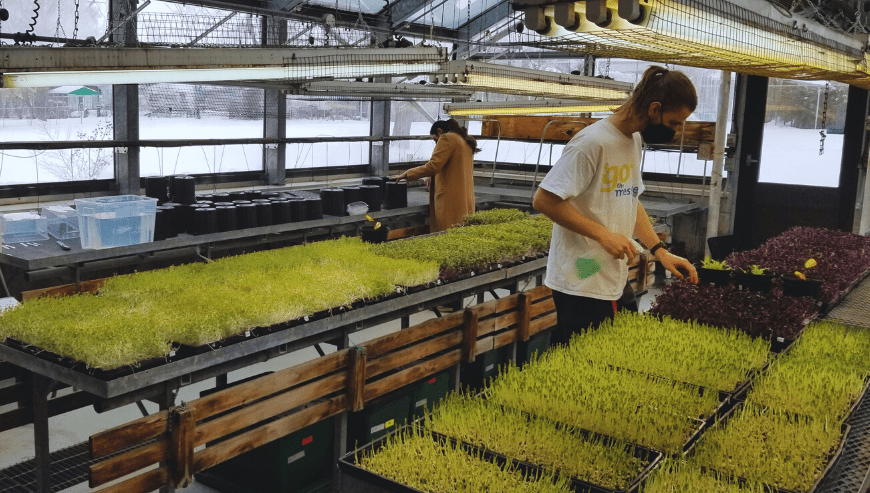 Social Harvest Ottawa