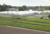 Ferguson Tree Nursery