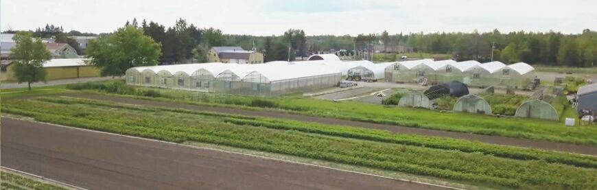 Ferguson Tree Nursery