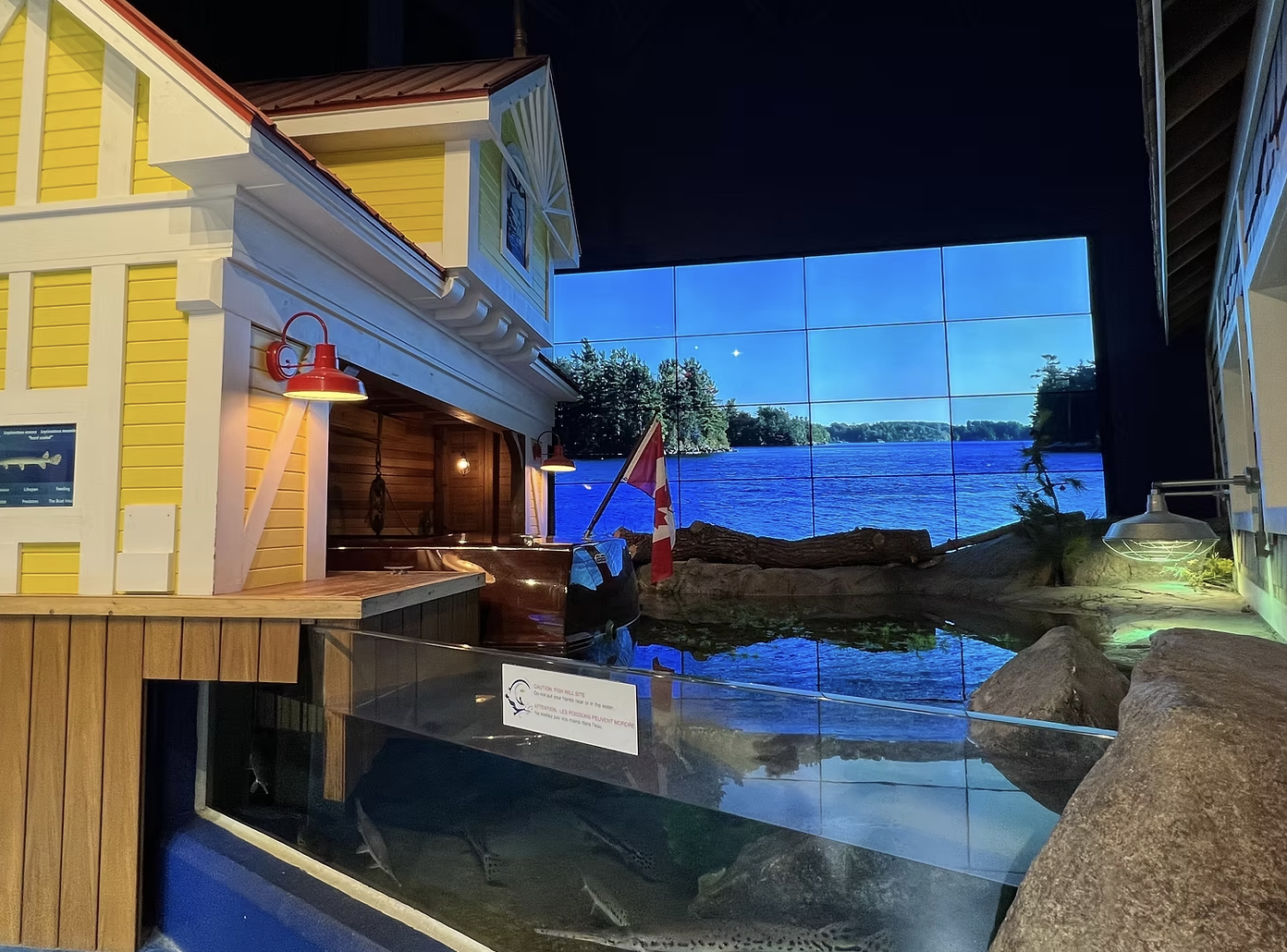 The Aquatarium