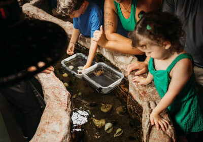 Aquaterium_image1